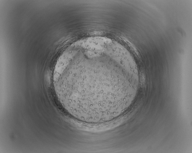 X0000115450026200912161523