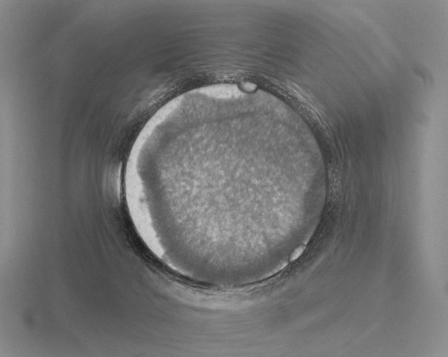 X0000115450028200912161523