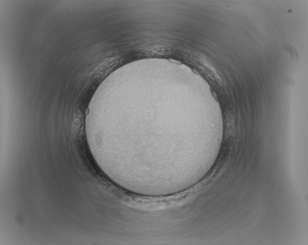 X0000115450029200912161523