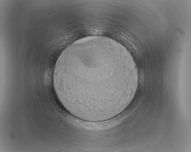 X0000115450030200912161523