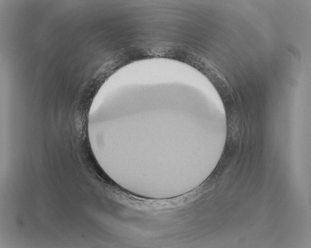 X0000115450031200912161523