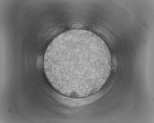 X0000115450034200912161523