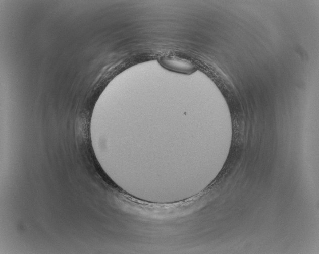 X0000115450035200912161523