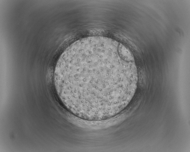 X0000115450038200912161523