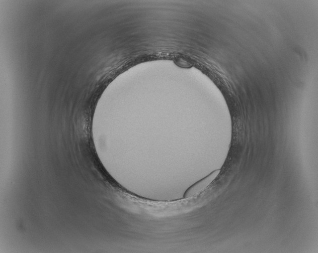 X0000115450039200912161523