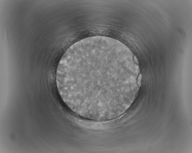 X0000115450040200912161523