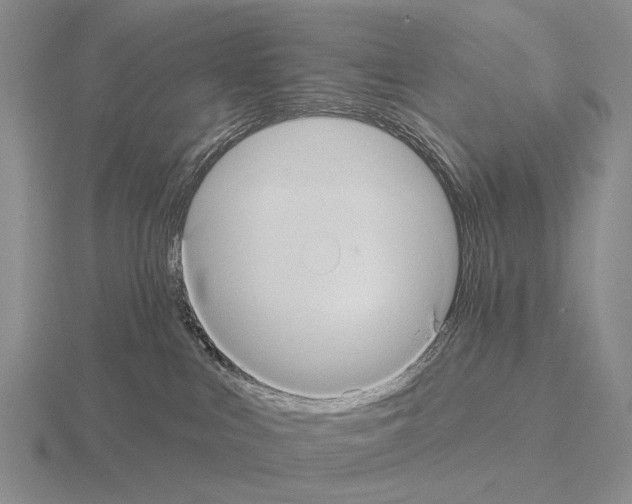 X0000115450043200912161523