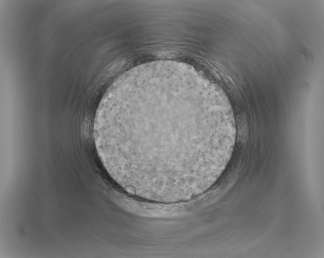 X0000115450044200912161523