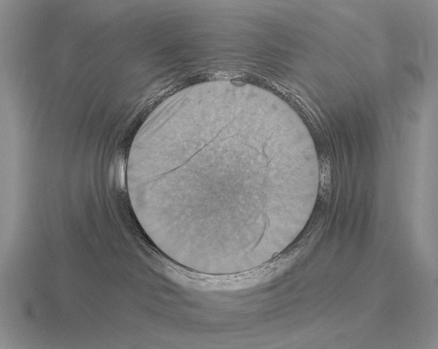 X0000115450046200912161523