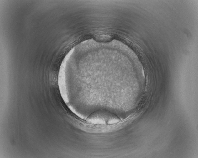 X0000115450048200912161523