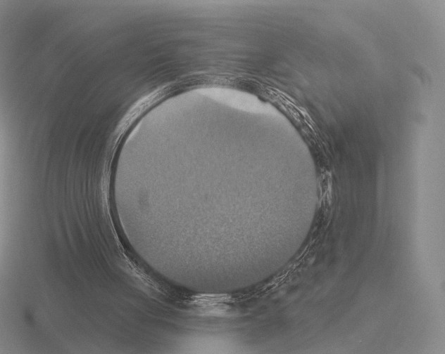 X0000115450051200912161522