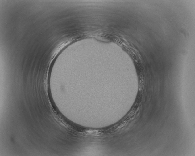 X0000115450052200912161522