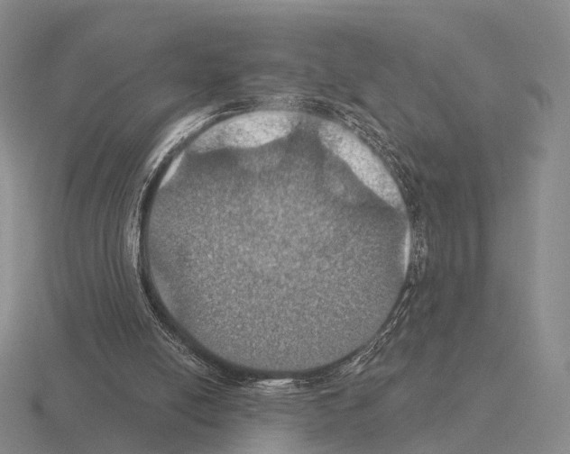 X0000115450054200912161523