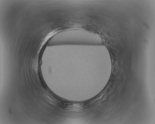 X0000115450056200912161523