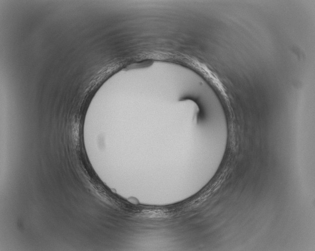 X0000115450057200912161523