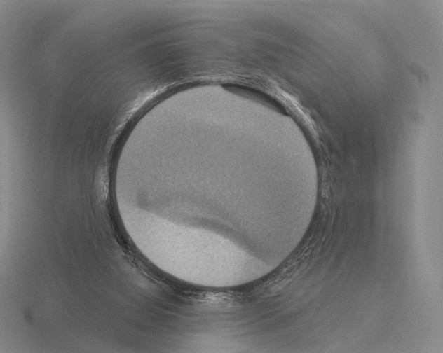 X0000115450060200912161523