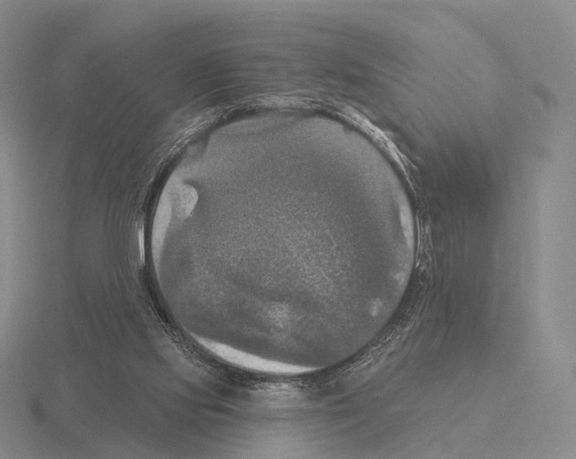 X0000115450061200912161523