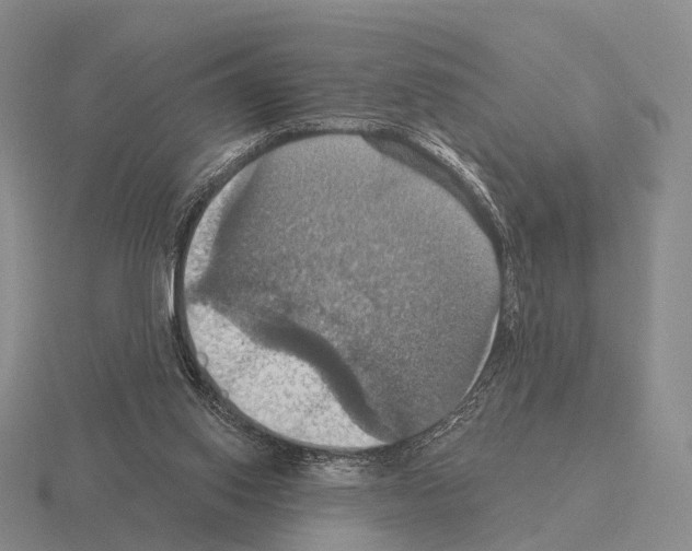 X0000115450062200912161523