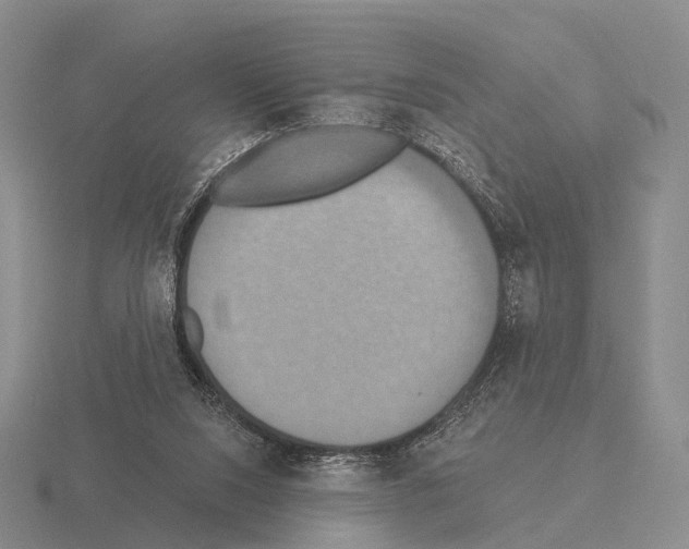 X0000115450064200912161523