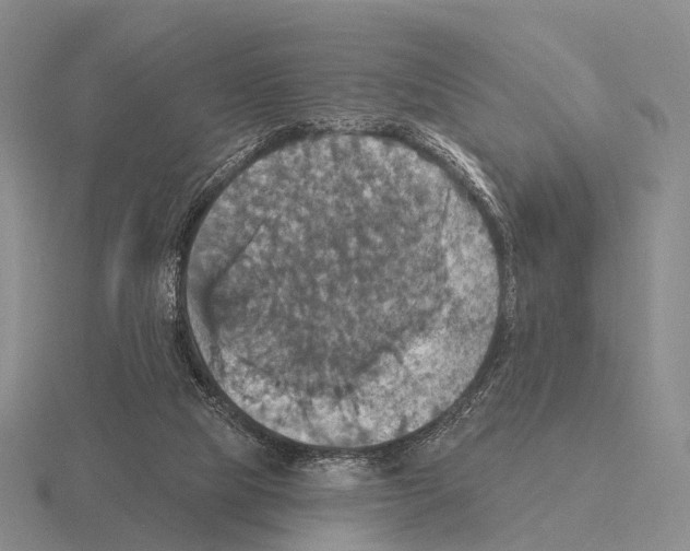 X0000115450065200912161523