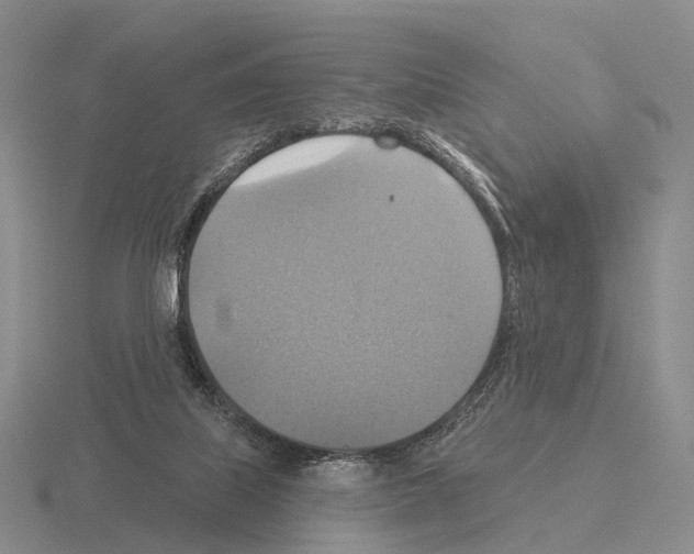 X0000115450067200912161523