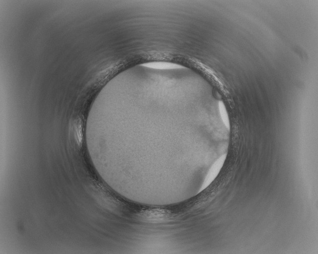 X0000115450069200912161523