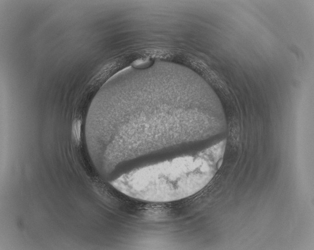 X0000115450070200912161523