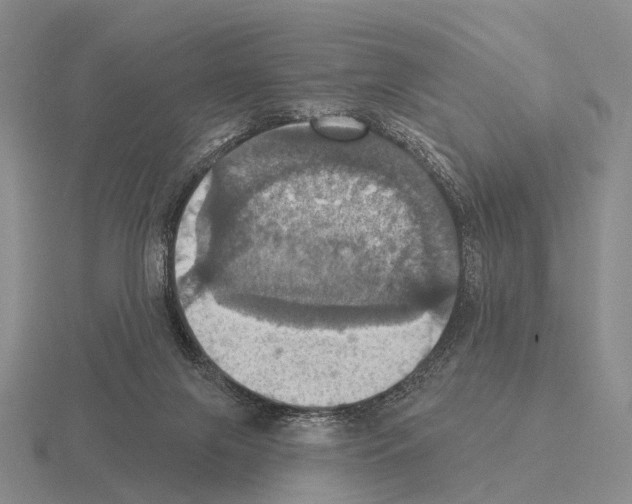 X0000115450071200912161523