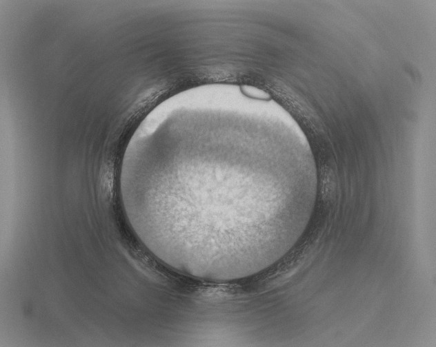 X0000115450072200912161523