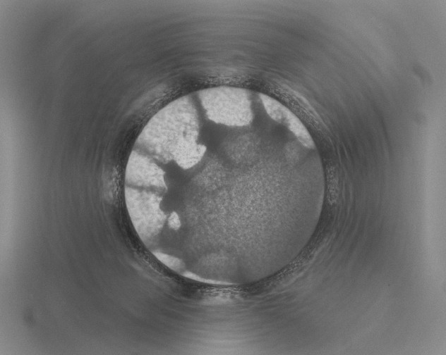 X0000115450077200912161523