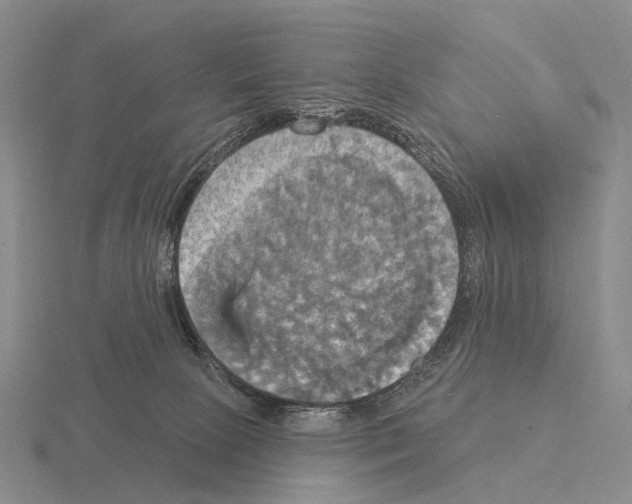 X0000115450081200912161523