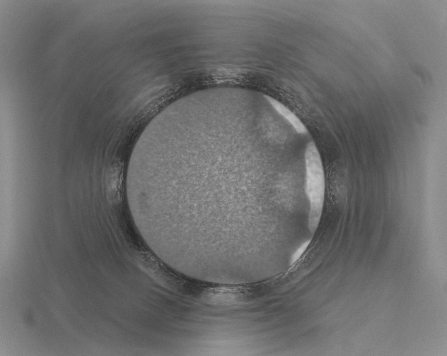 X0000115450082200912161523