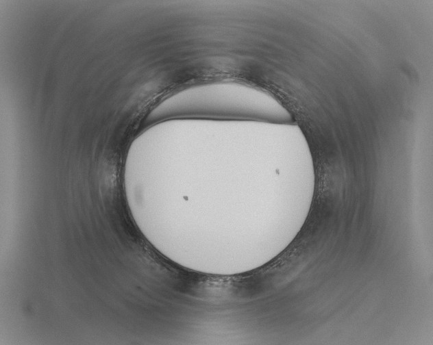 X0000115450084200912161523