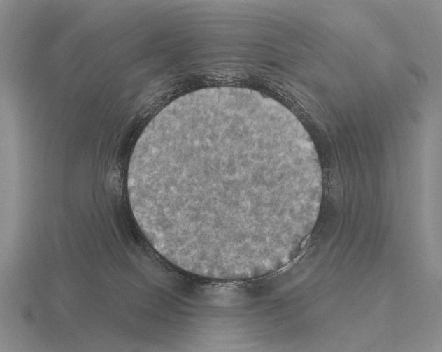 X0000115450086200912161523