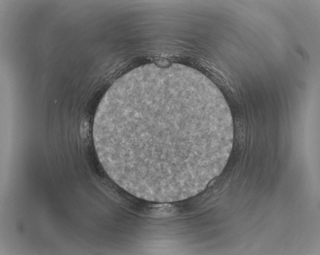 X0000115450087200912161523