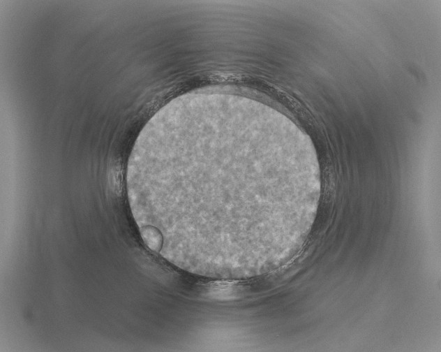 X0000115450090200912161523