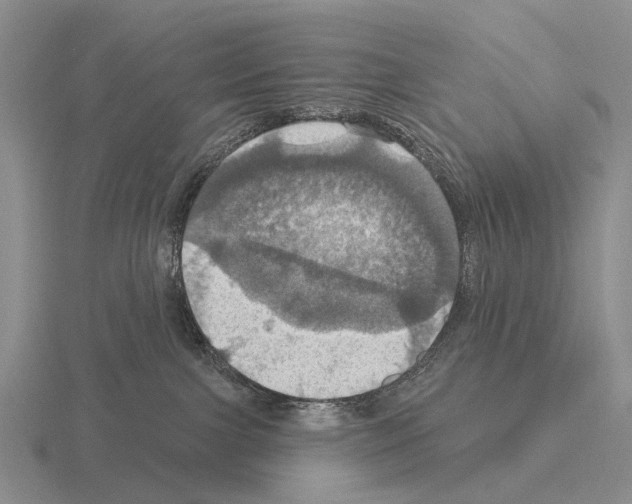 X0000115450091200912161523