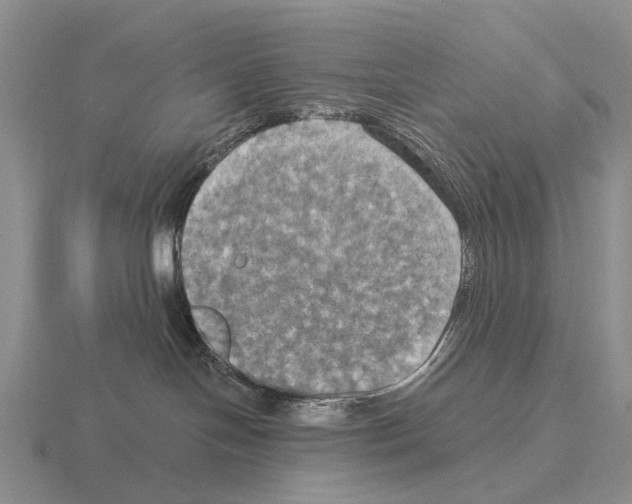 X0000115450094200912161523