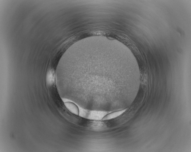 X0000115450095200912161523