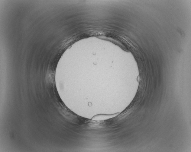 X0000115450096200912161523