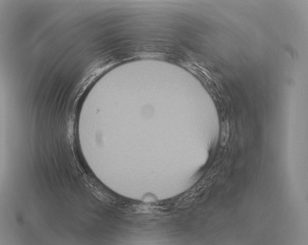 X0000115450098200912161522