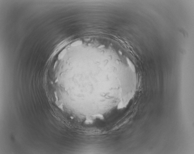 X0000115450099200912161522