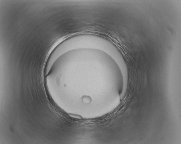 X0000115450100200912161522