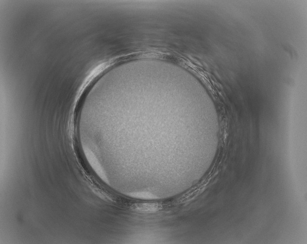 X0000115450102200912161522