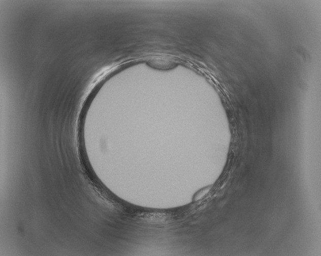 X0000115450104200912161522