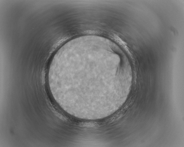 X0000115450106200912161522