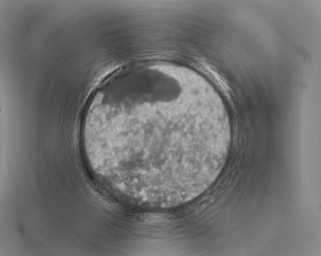 X0000115450107200912161522