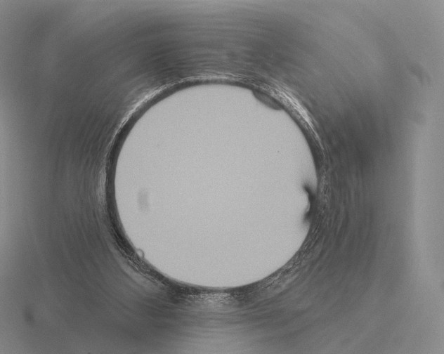 X0000115450108200912161522