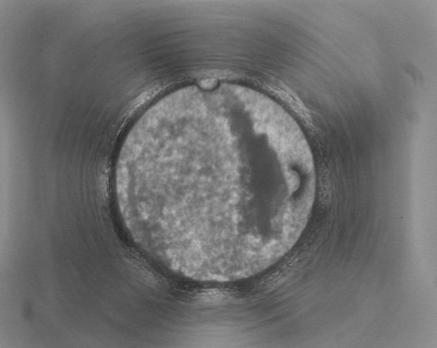 X0000115450111200912161522