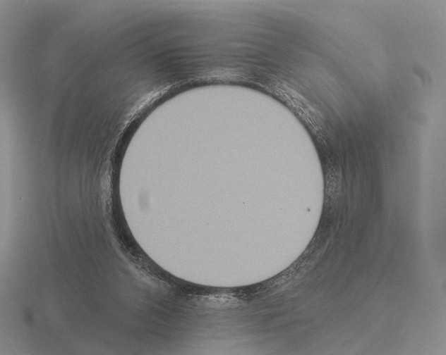 X0000115450112200912161522